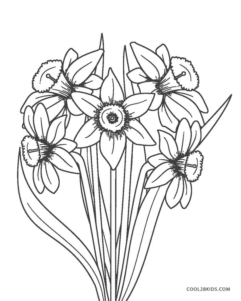 Simple Flower Coloring Pages Free Printable 175