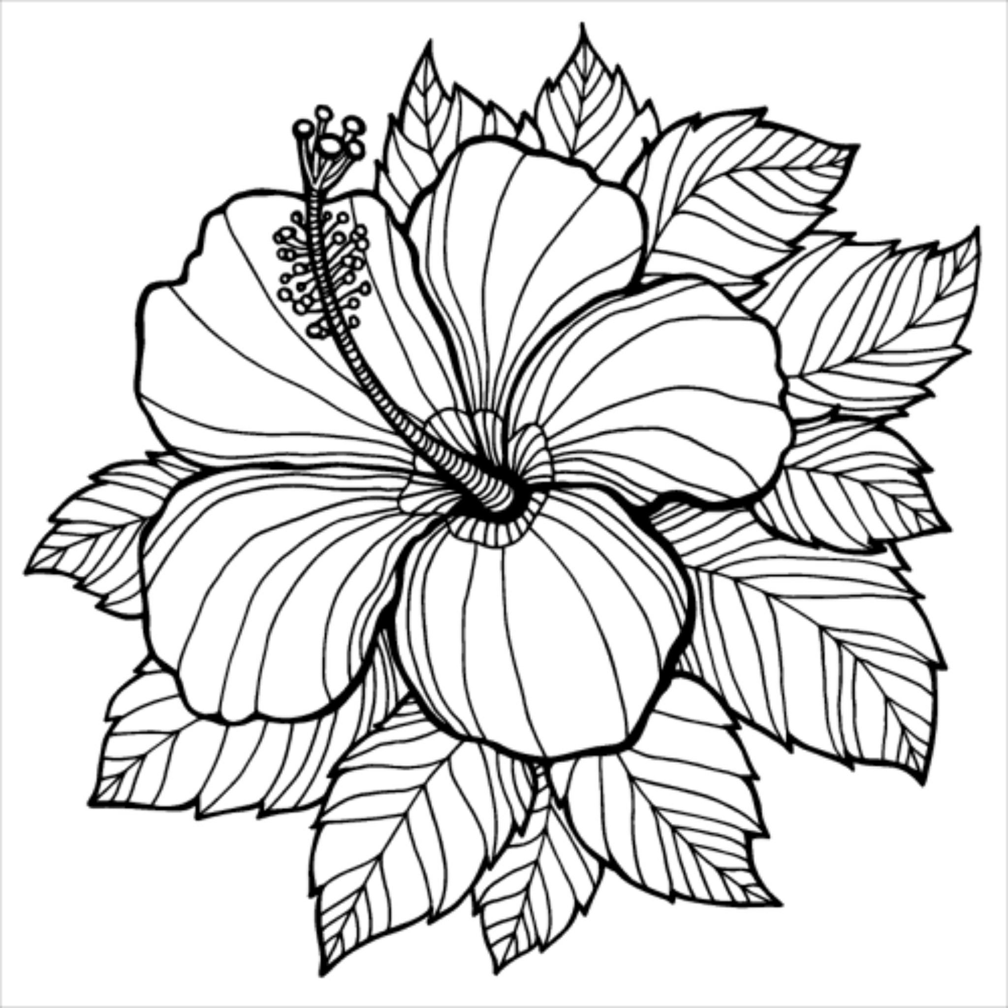 Simple Flower Coloring Pages Free Printable 176