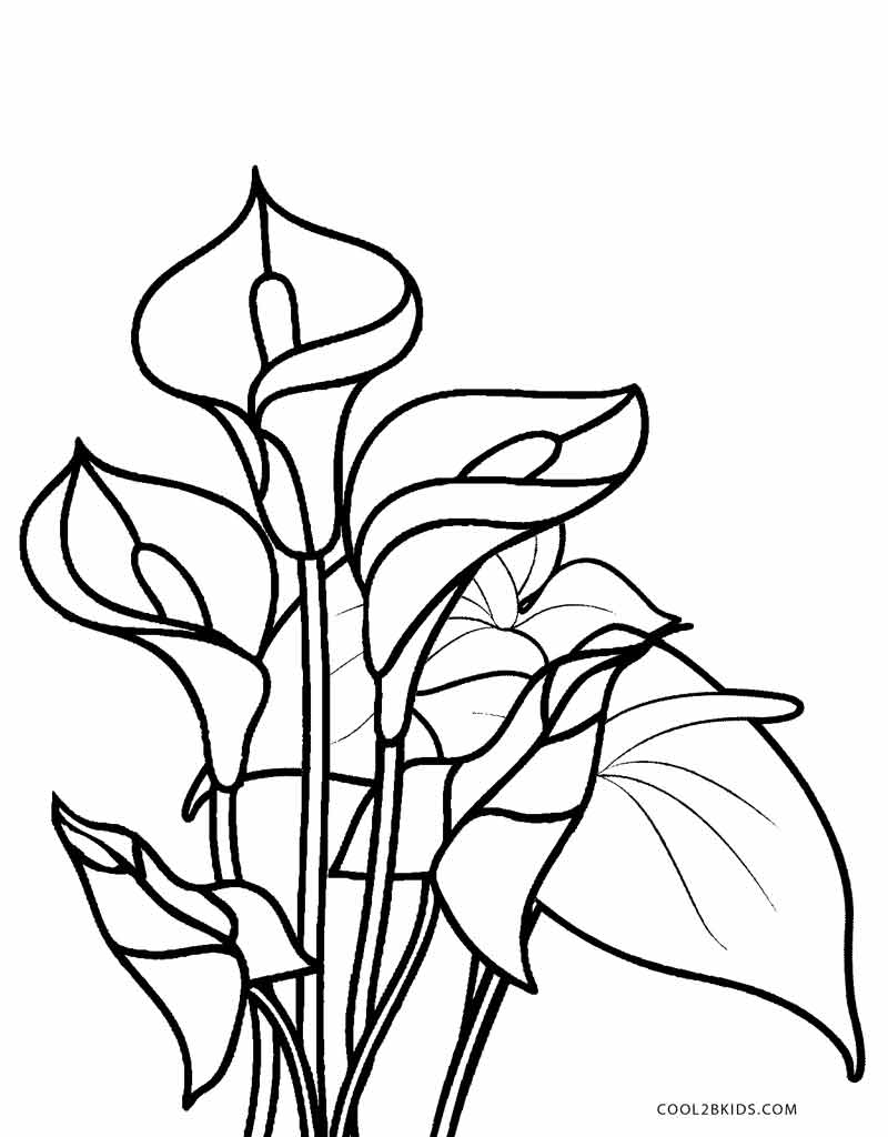 Simple Flower Coloring Pages Free Printable 23