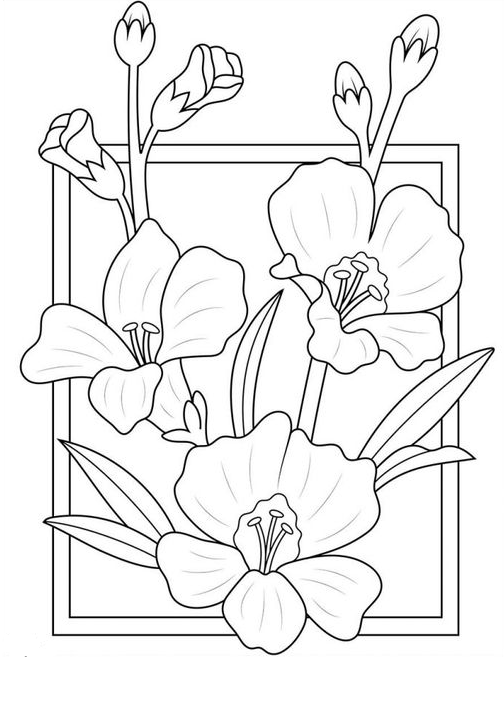 Simple Flower Coloring Pages Free Printable 27