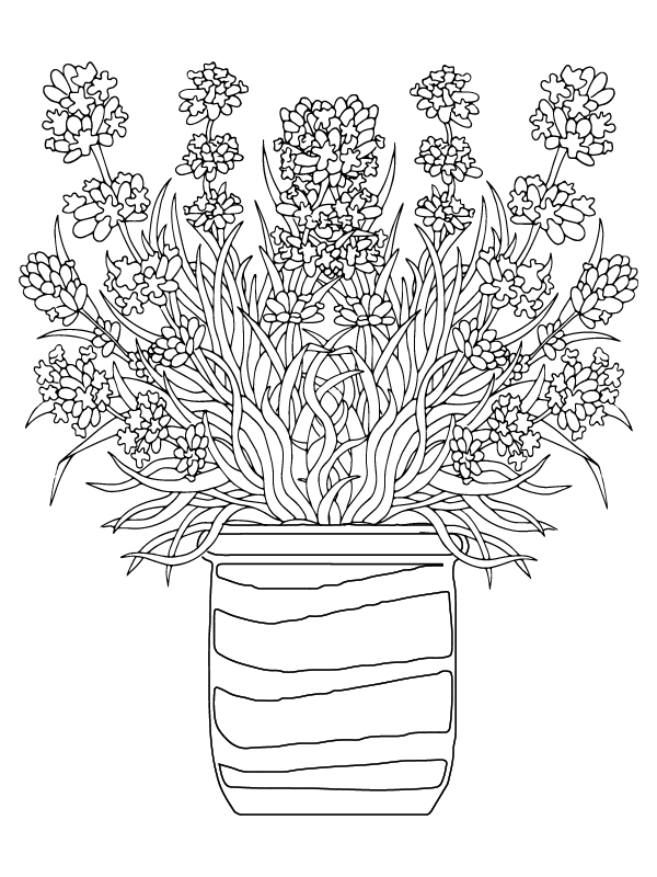 Simple Flower Coloring Pages Free Printable 29