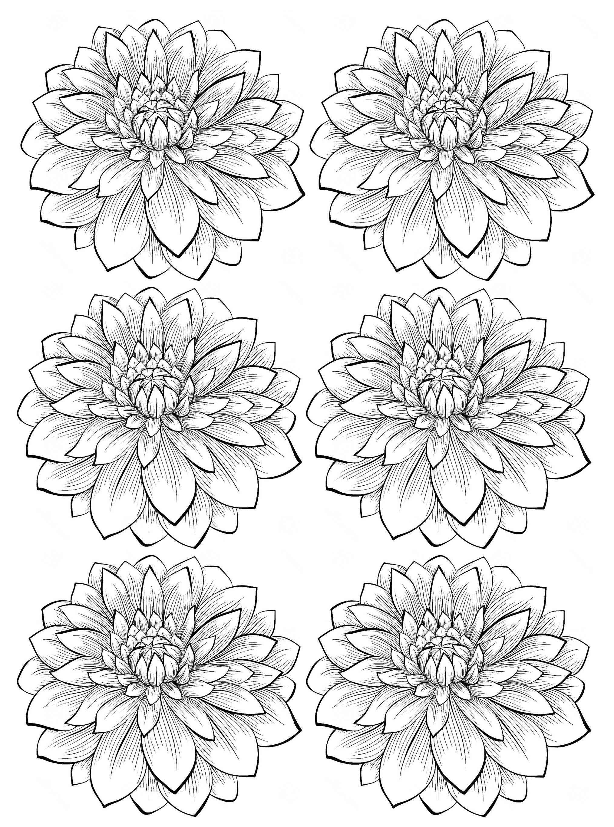 Simple Flower Coloring Pages Free Printable 33