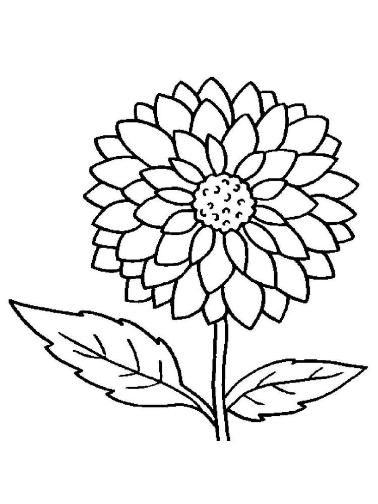 Simple Flower Coloring Pages Free Printable 36