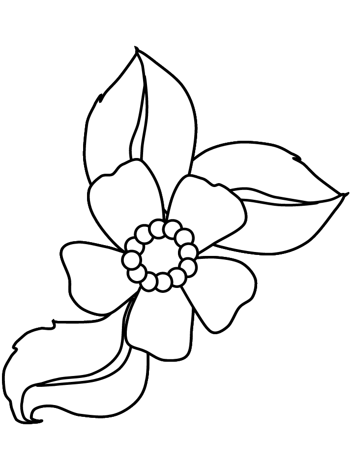 Simple Flower Coloring Pages Free Printable 49