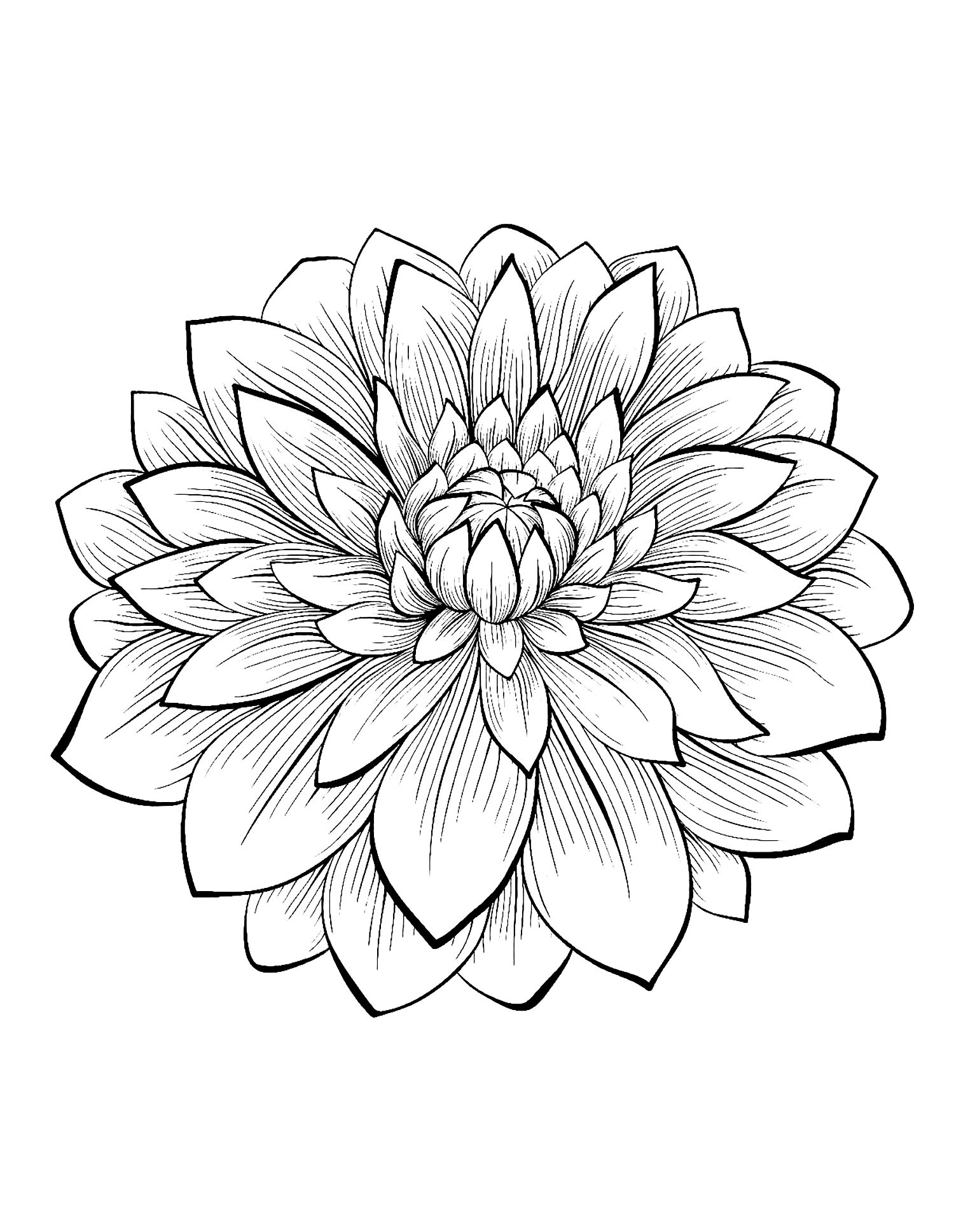 Simple Flower Coloring Pages Free Printable 5