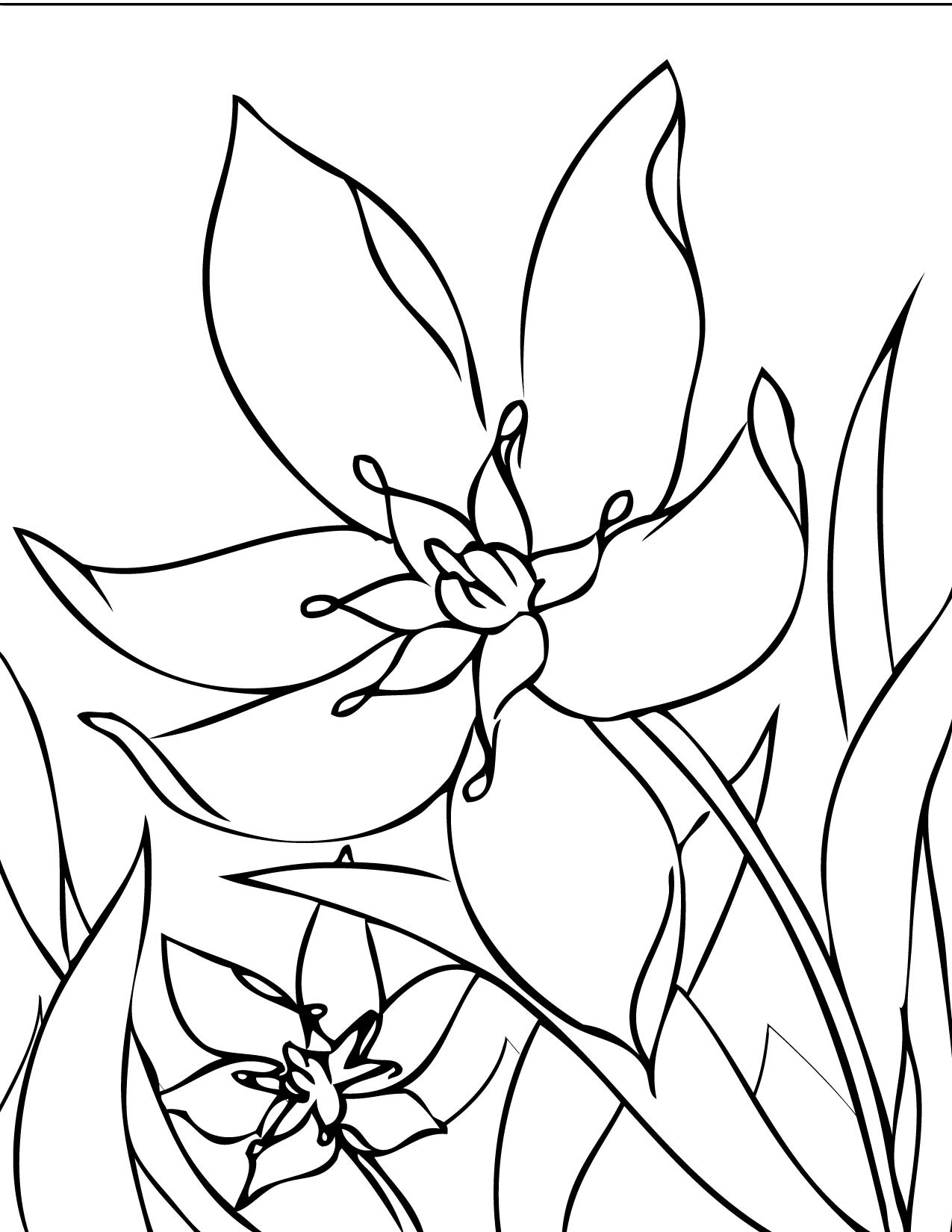 Simple Flower Coloring Pages Free Printable 60