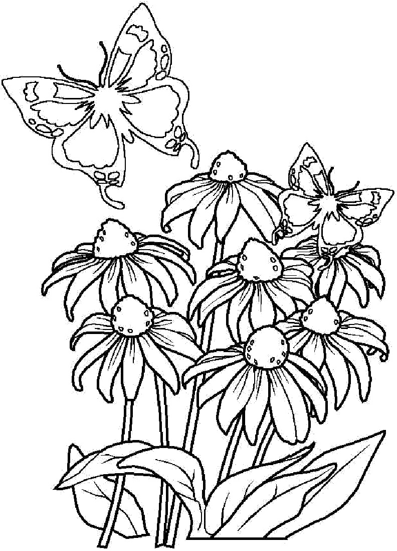 Simple Flower Coloring Pages Free Printable 70