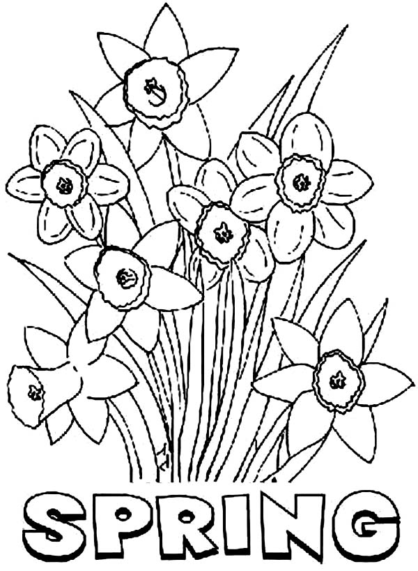 Simple Flower Coloring Pages Free Printable 77