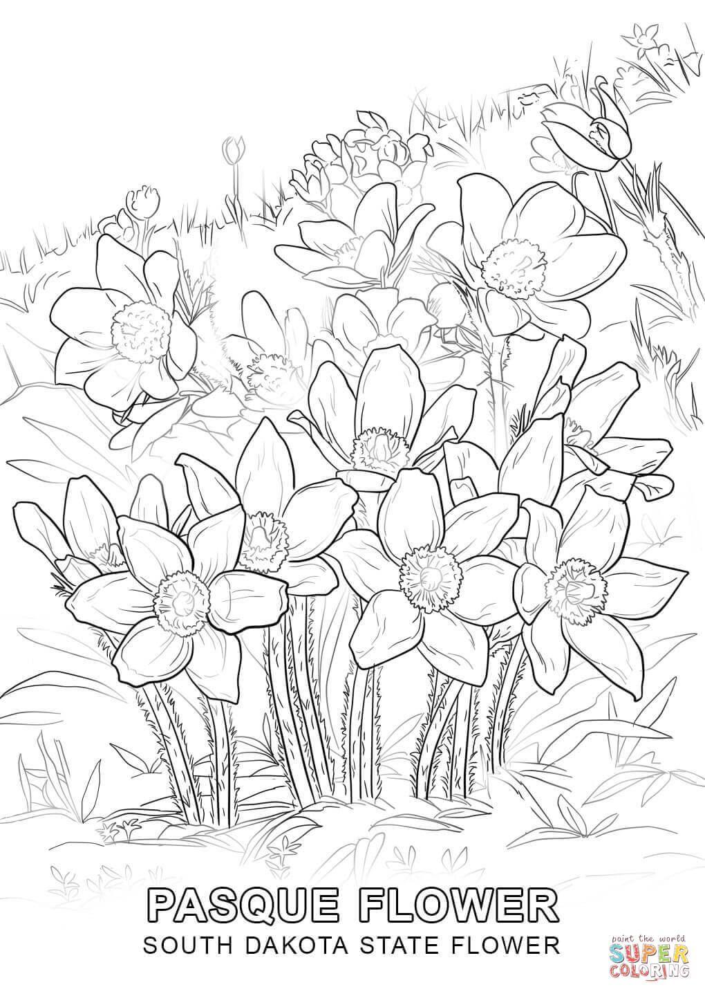 Simple Flower Coloring Pages Free Printable 84