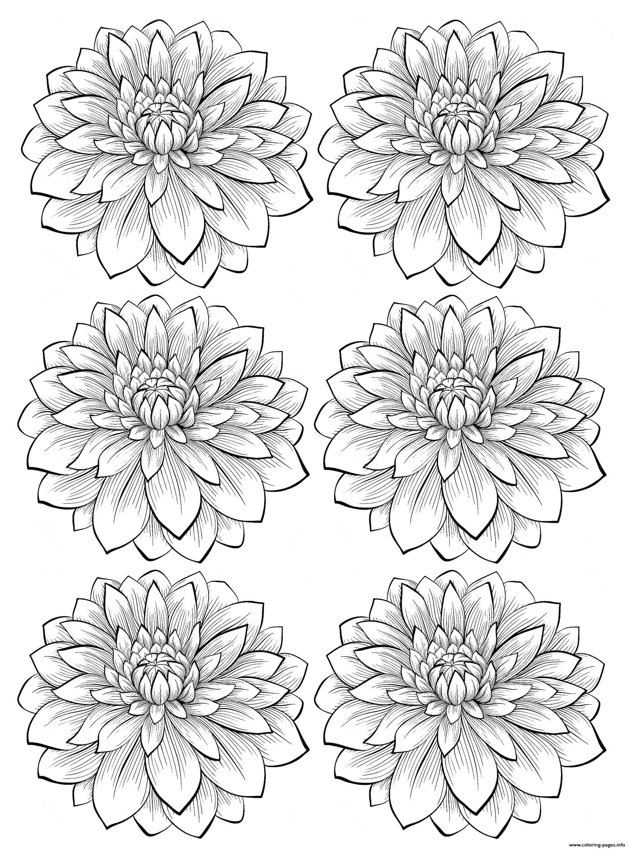 Simple Flower Coloring Pages Free Printable 91