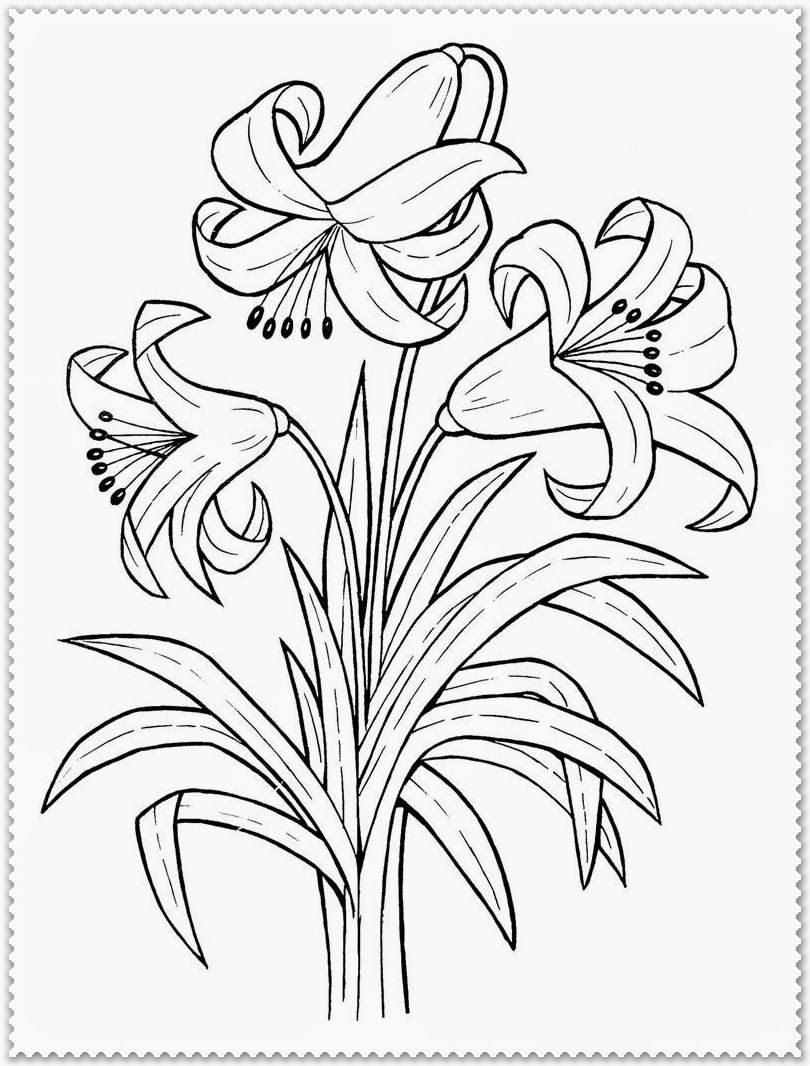 Simple Flower Coloring Pages Free Printable 94