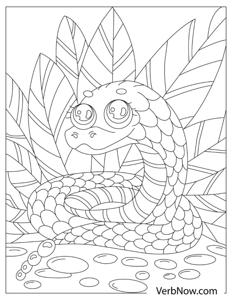 Snake Coloring Pages for Kids Free Printable 11