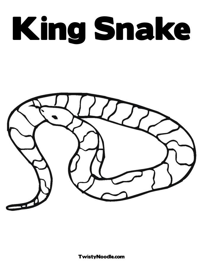 Snake Coloring Pages for Kids Free Printable 16