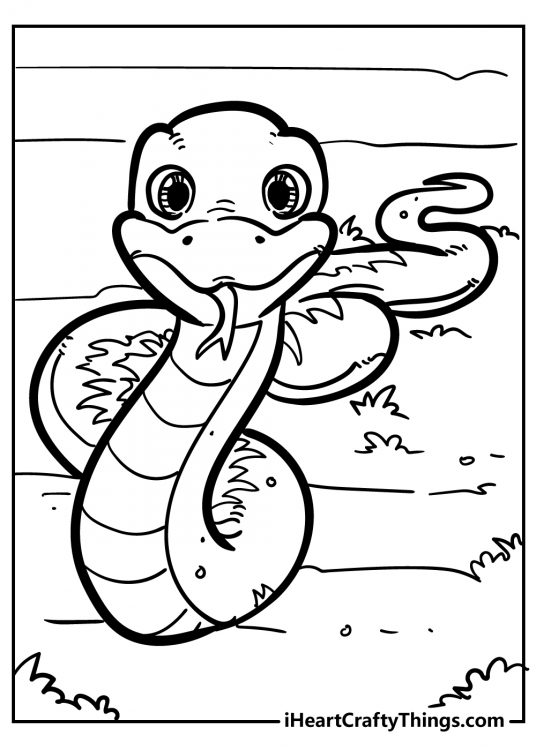 Snake Coloring Pages for Kids Free Printable 21