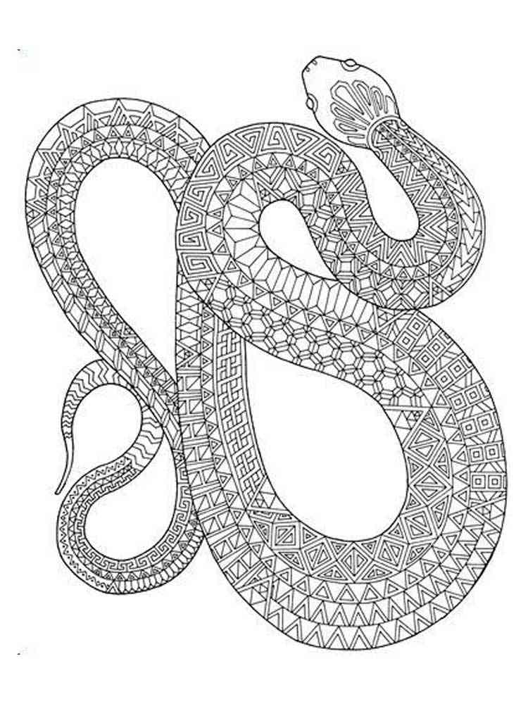 Snake Coloring Pages for Kids Free Printable 26