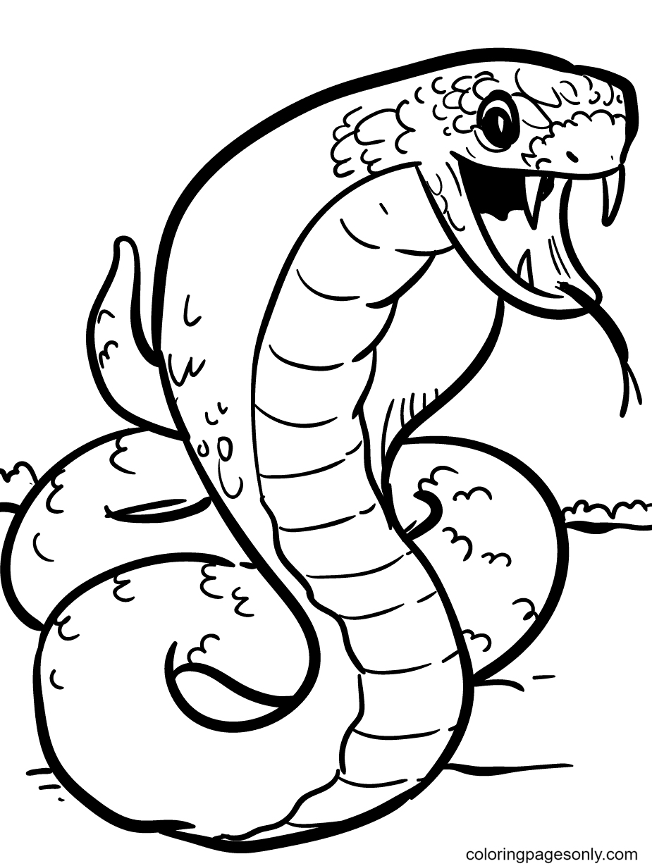 Snake Coloring Pages for Kids Free Printable 28