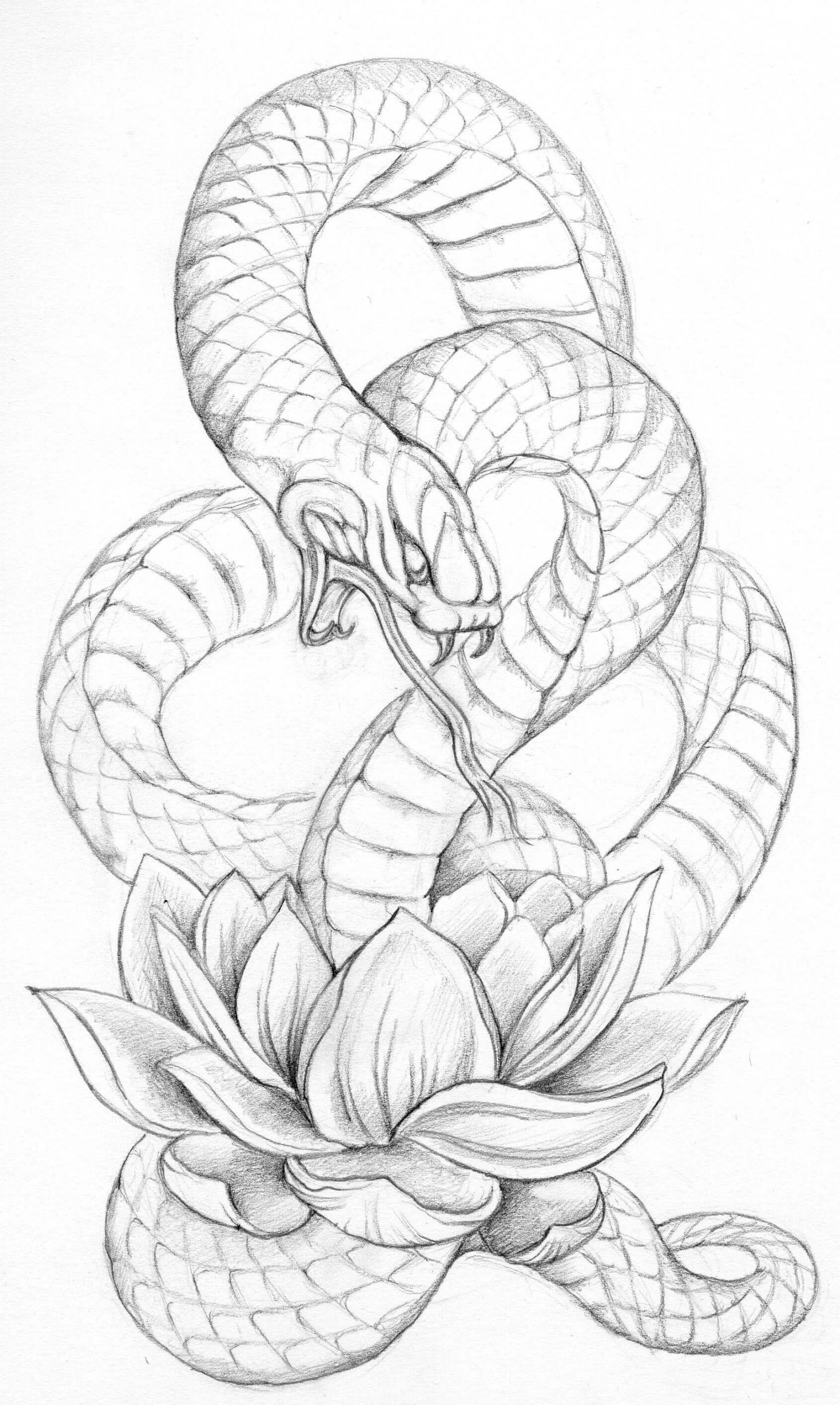 Snake Coloring Pages for Kids Free Printable 31