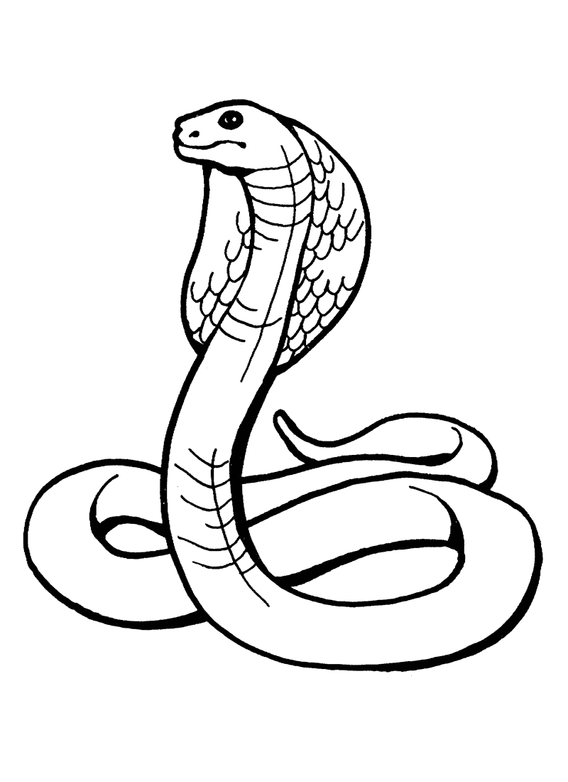 Snake Coloring Pages for Kids Free Printable 36