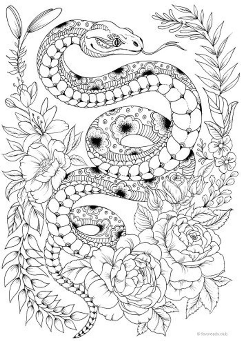 Snake Coloring Pages for Kids Free Printable 38