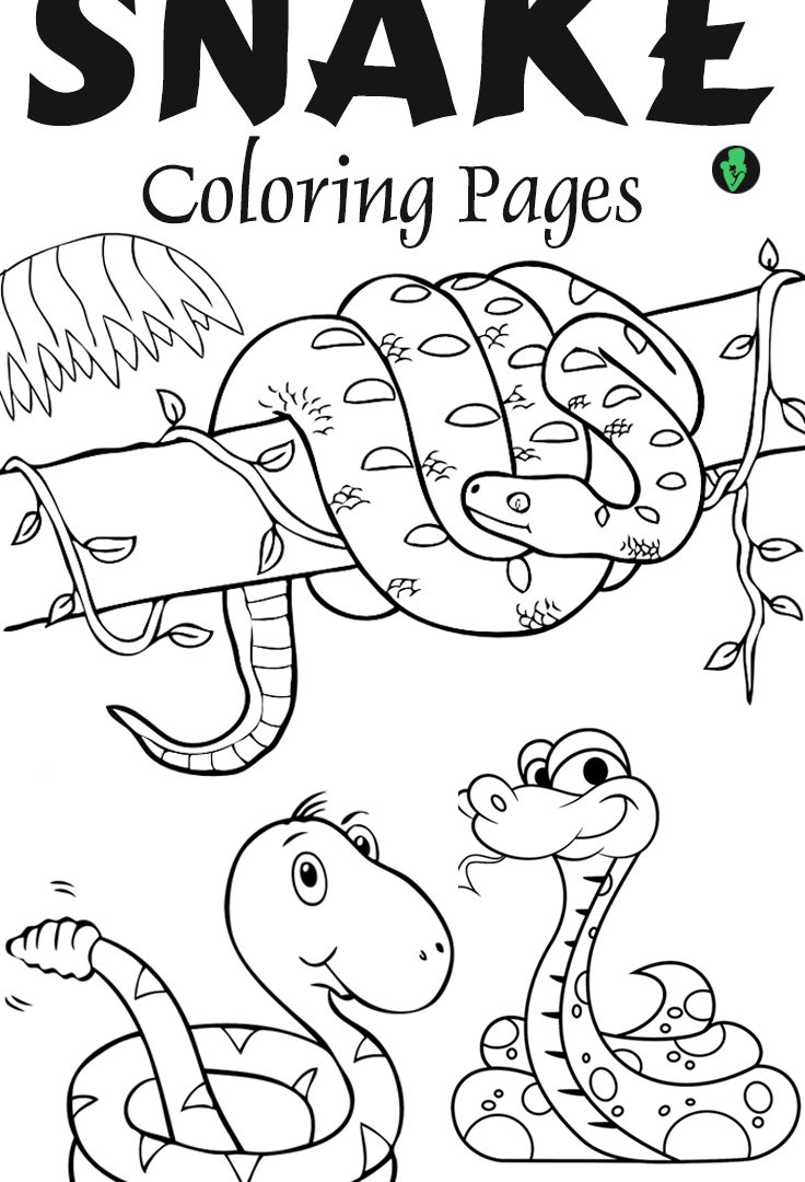 Snake Coloring Pages for Kids Free Printable 41