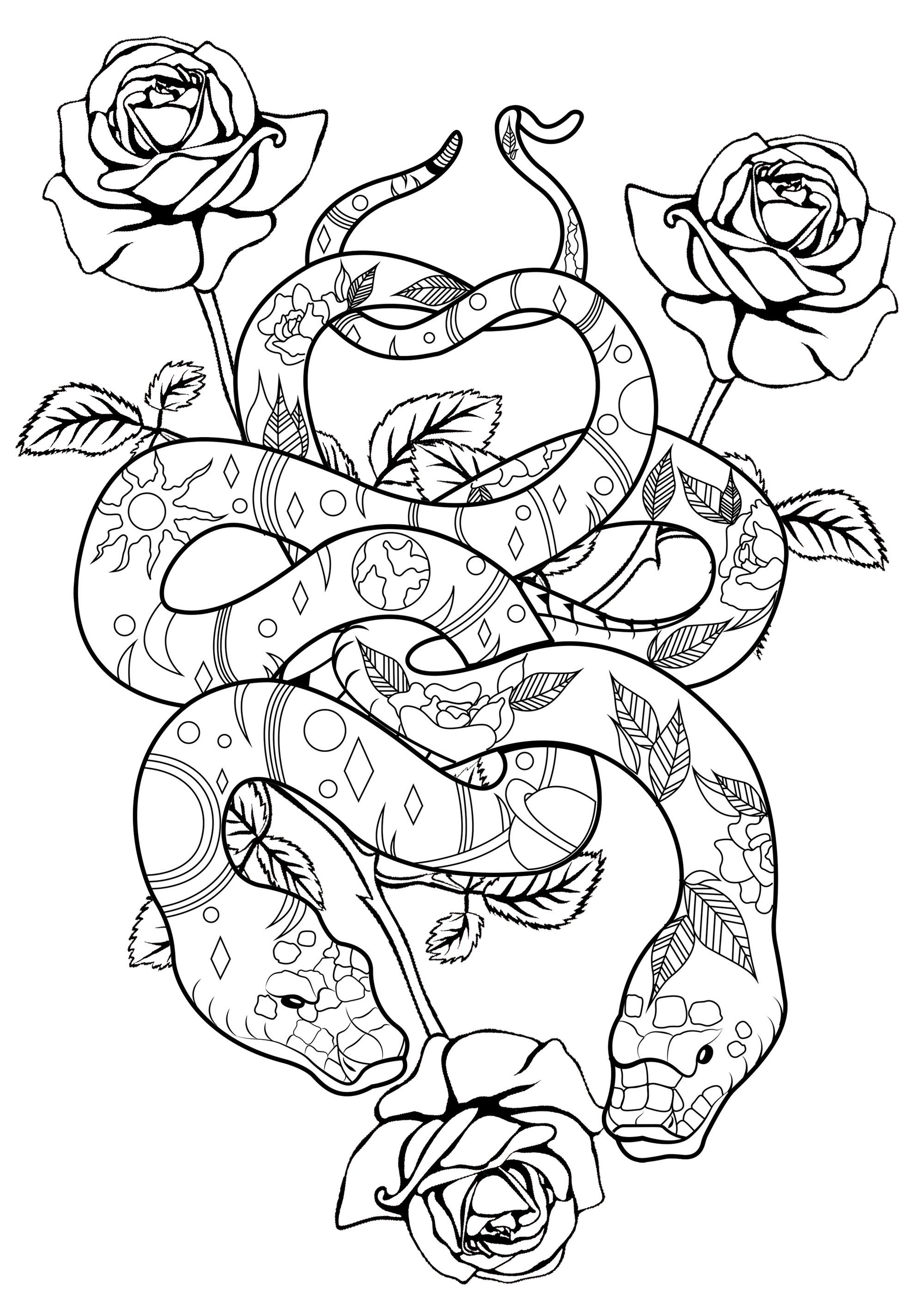 Snake Coloring Pages for Kids Free Printable 42