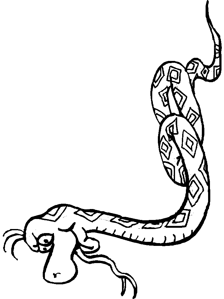 Snake Coloring Pages for Kids Free Printable 44