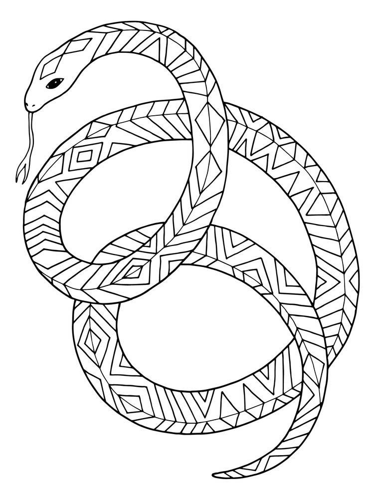 Snake Coloring Pages for Kids Free Printable 49