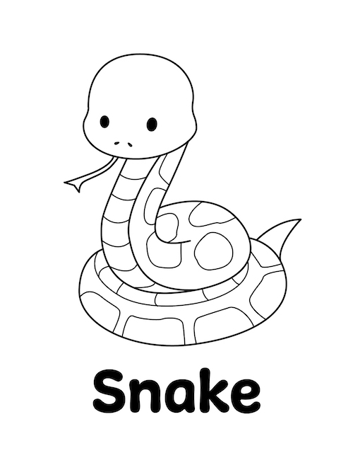 Snake Coloring Pages for Kids Free Printable 56