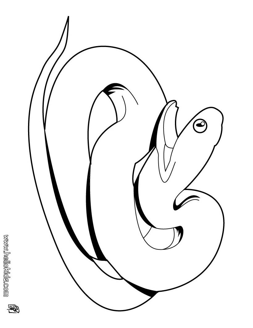 Snake Coloring Pages for Kids Free Printable 62