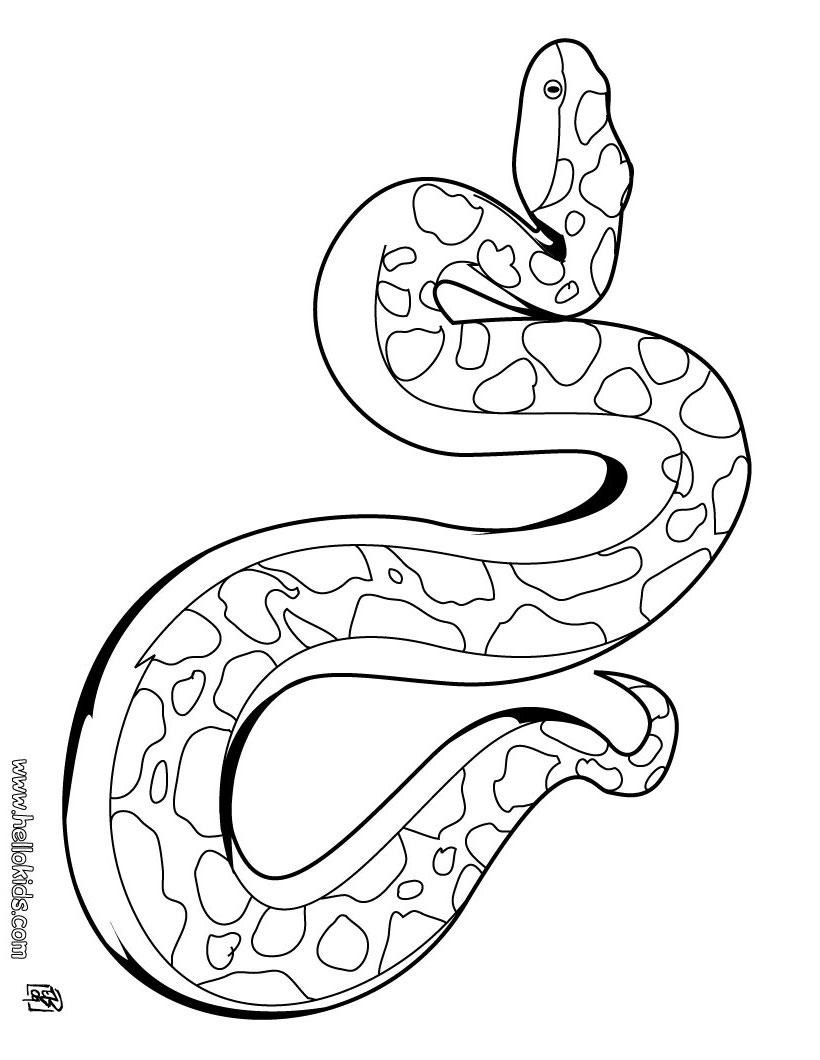 Snake Coloring Pages for Kids Free Printable 67