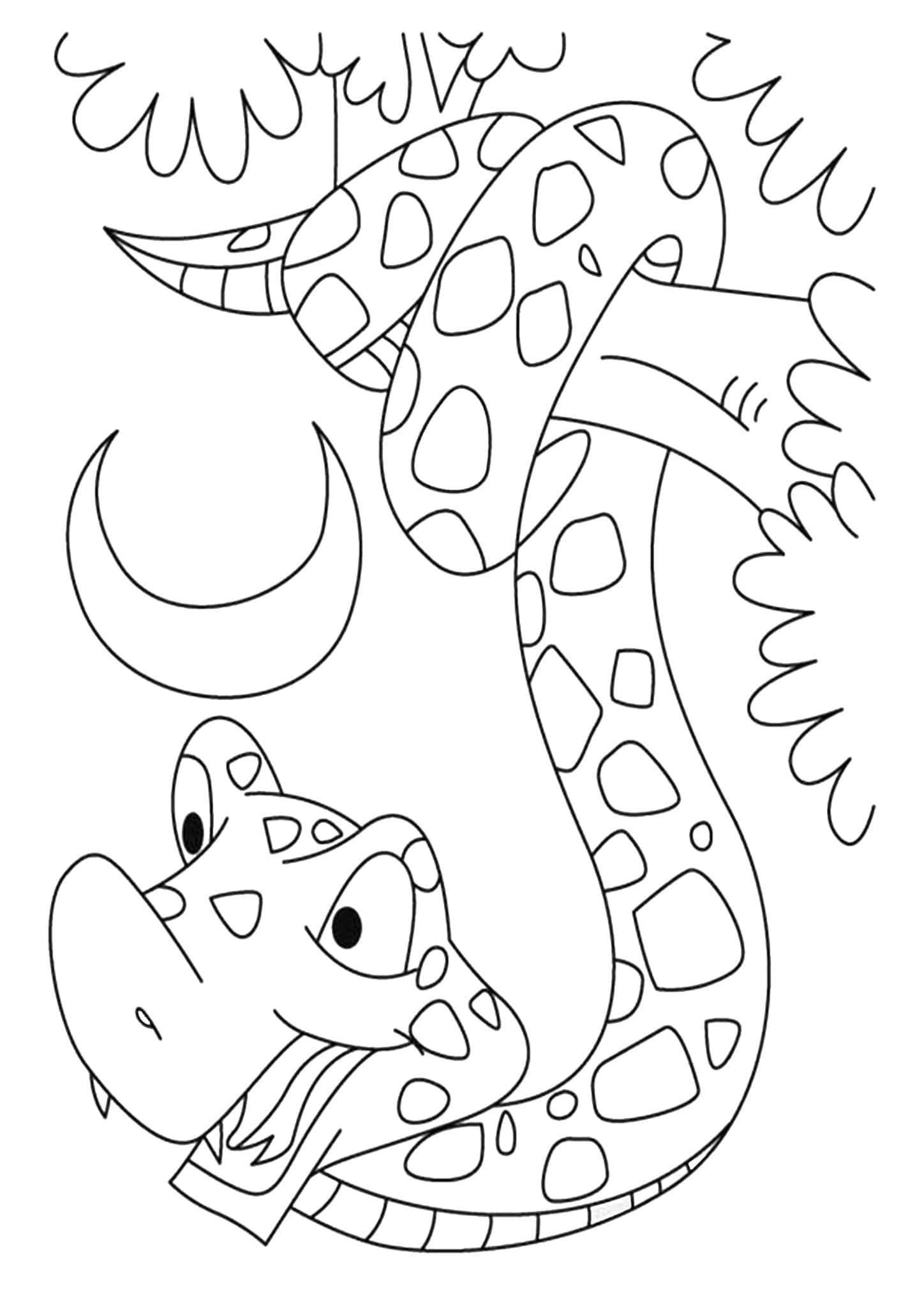 Snake Coloring Pages for Kids Free Printable 72