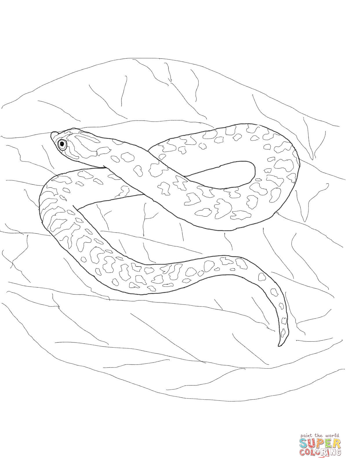 Snake Coloring Pages for Kids Free Printable 74