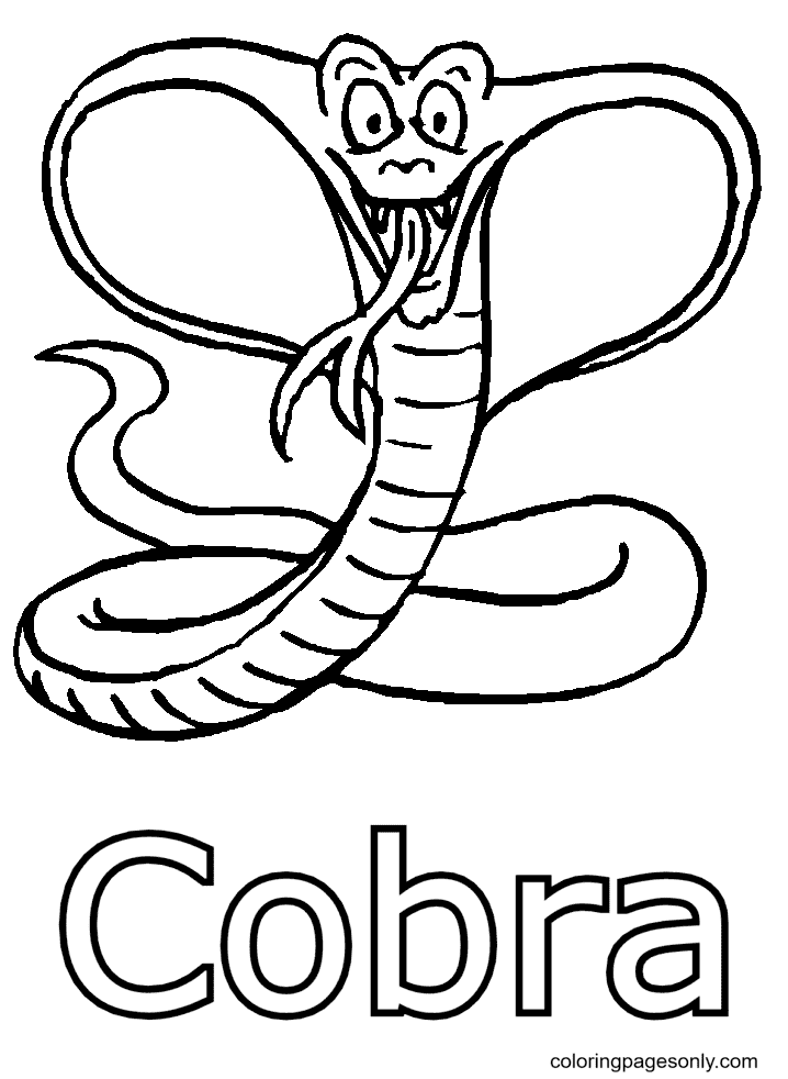 Snake Coloring Pages for Kids Free Printable 76