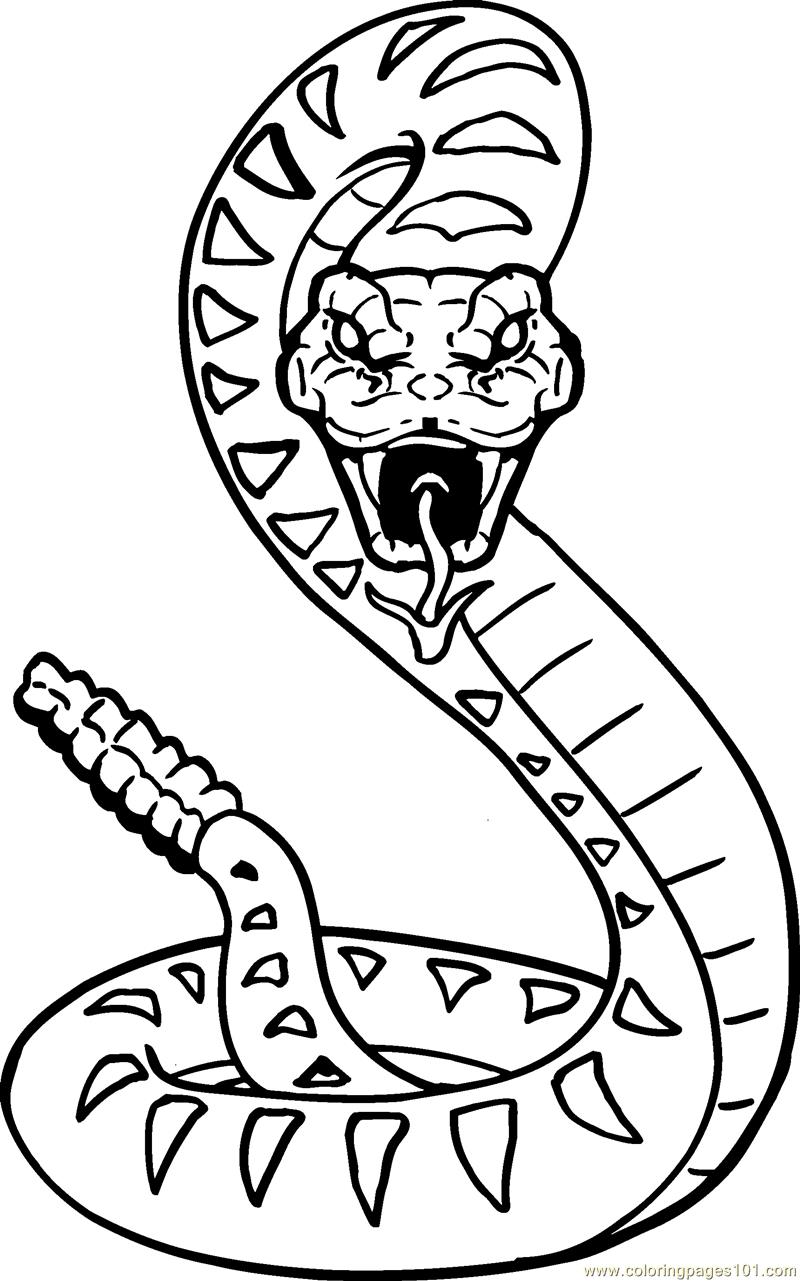 Snake Coloring Pages for Kids Free Printable 78