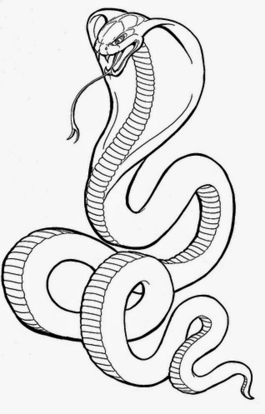 Snake Coloring Pages for Kids Free Printable 83