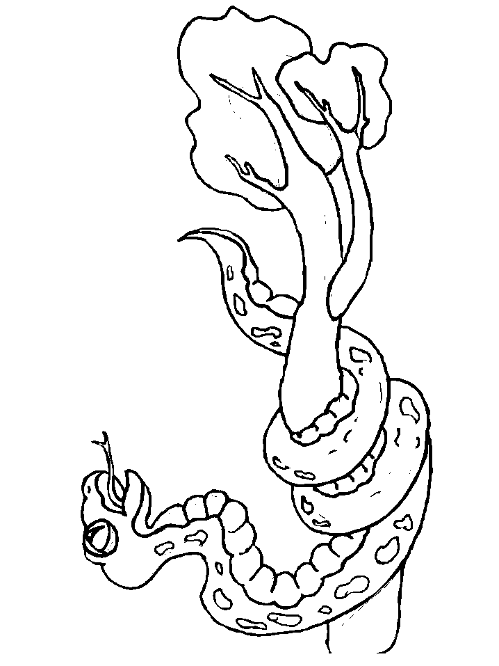 Snake Coloring Pages for Kids Free Printable 85