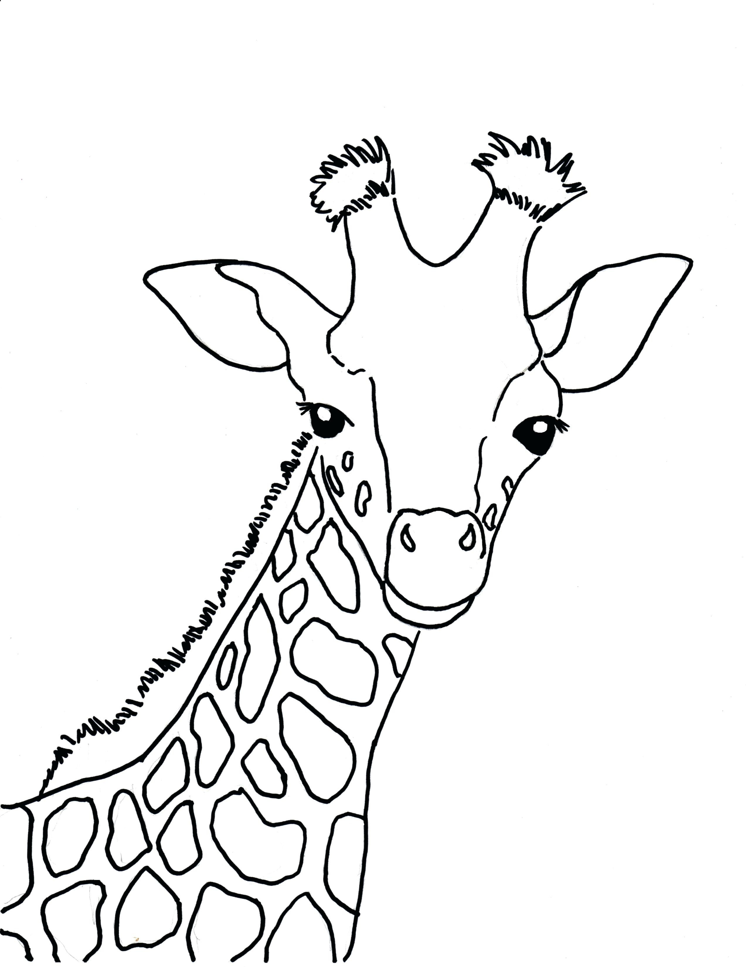 100+ Giraffe Coloring Pages 1