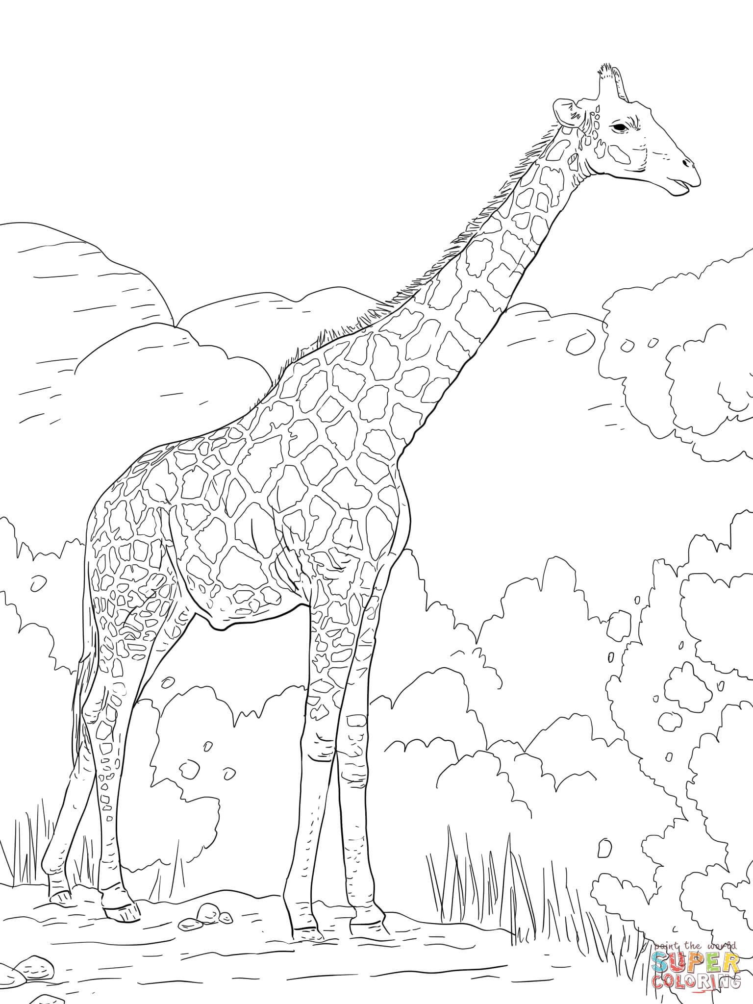 100+ Giraffe Coloring Pages 11