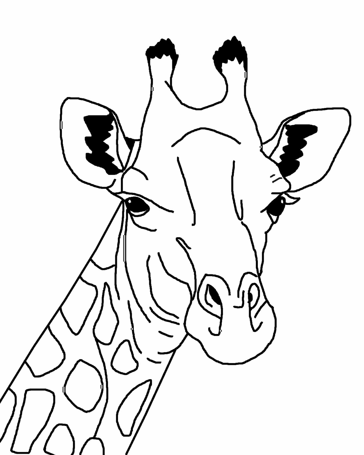 100+ Giraffe Coloring Pages 15