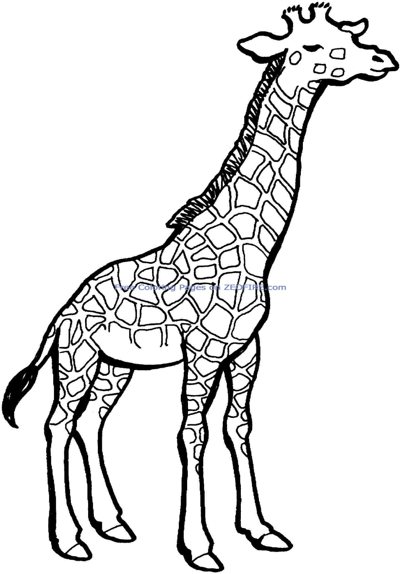 100+ Giraffe Coloring Pages 17