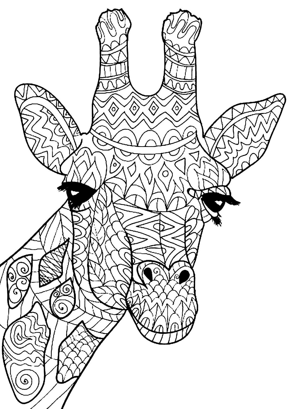 100+ Giraffe Coloring Pages 19