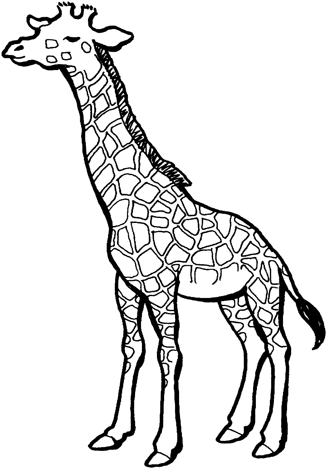 100+ Giraffe Coloring Pages 25