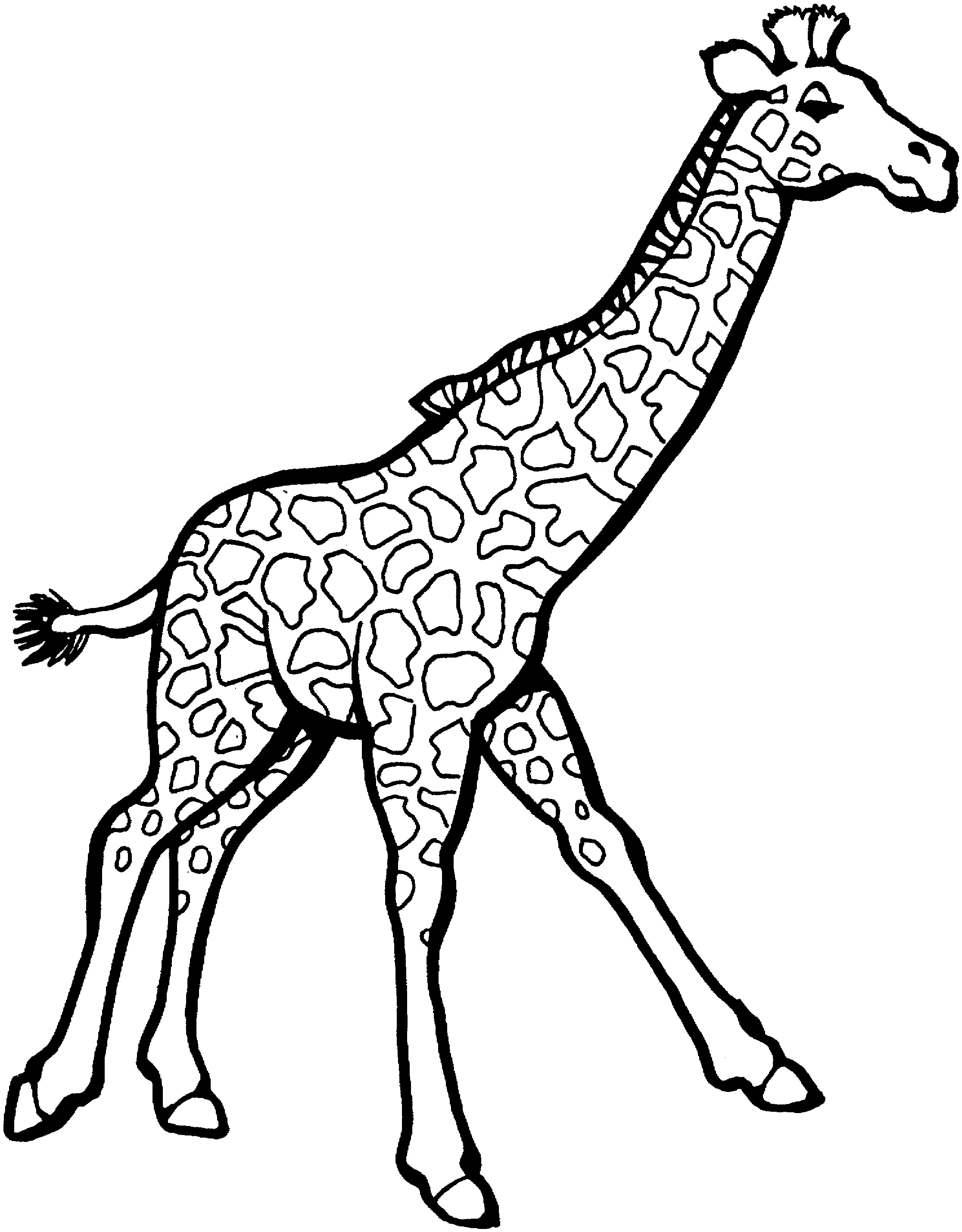 100+ Giraffe Coloring Pages 3