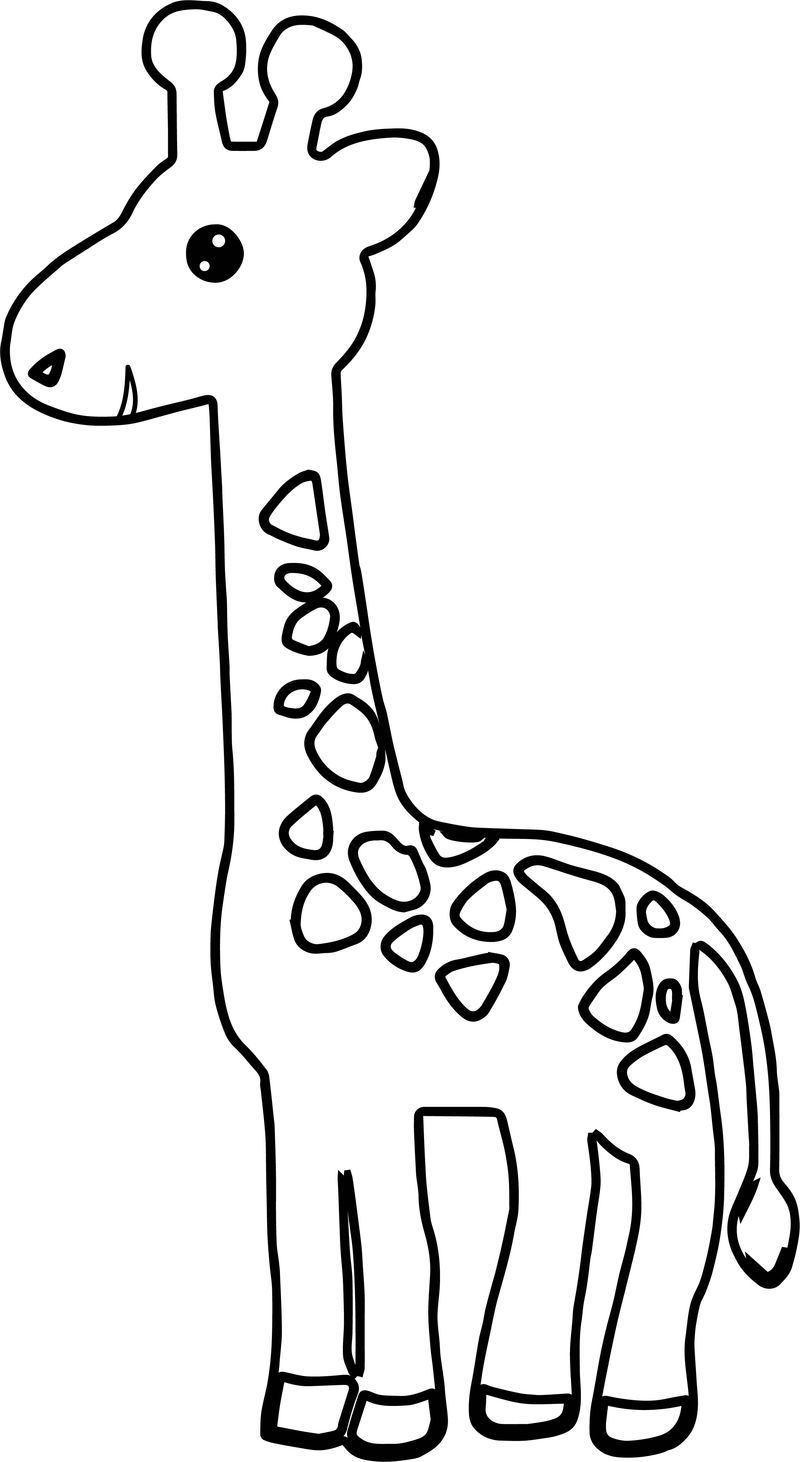 100+ Giraffe Coloring Pages 30