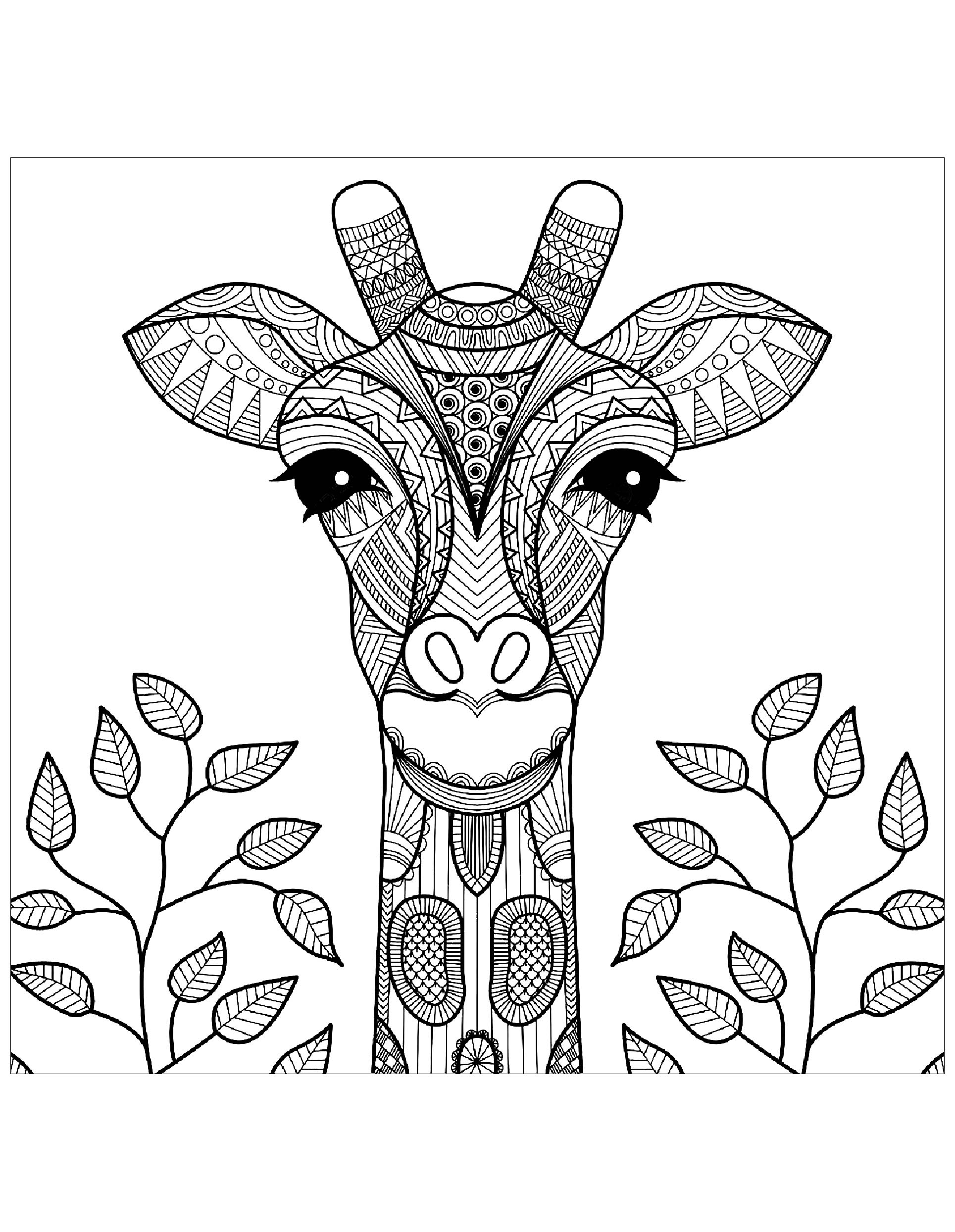 100+ Giraffe Coloring Pages 4