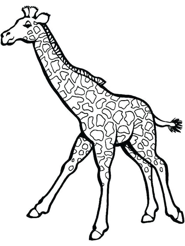 100+ Giraffe Coloring Pages 41