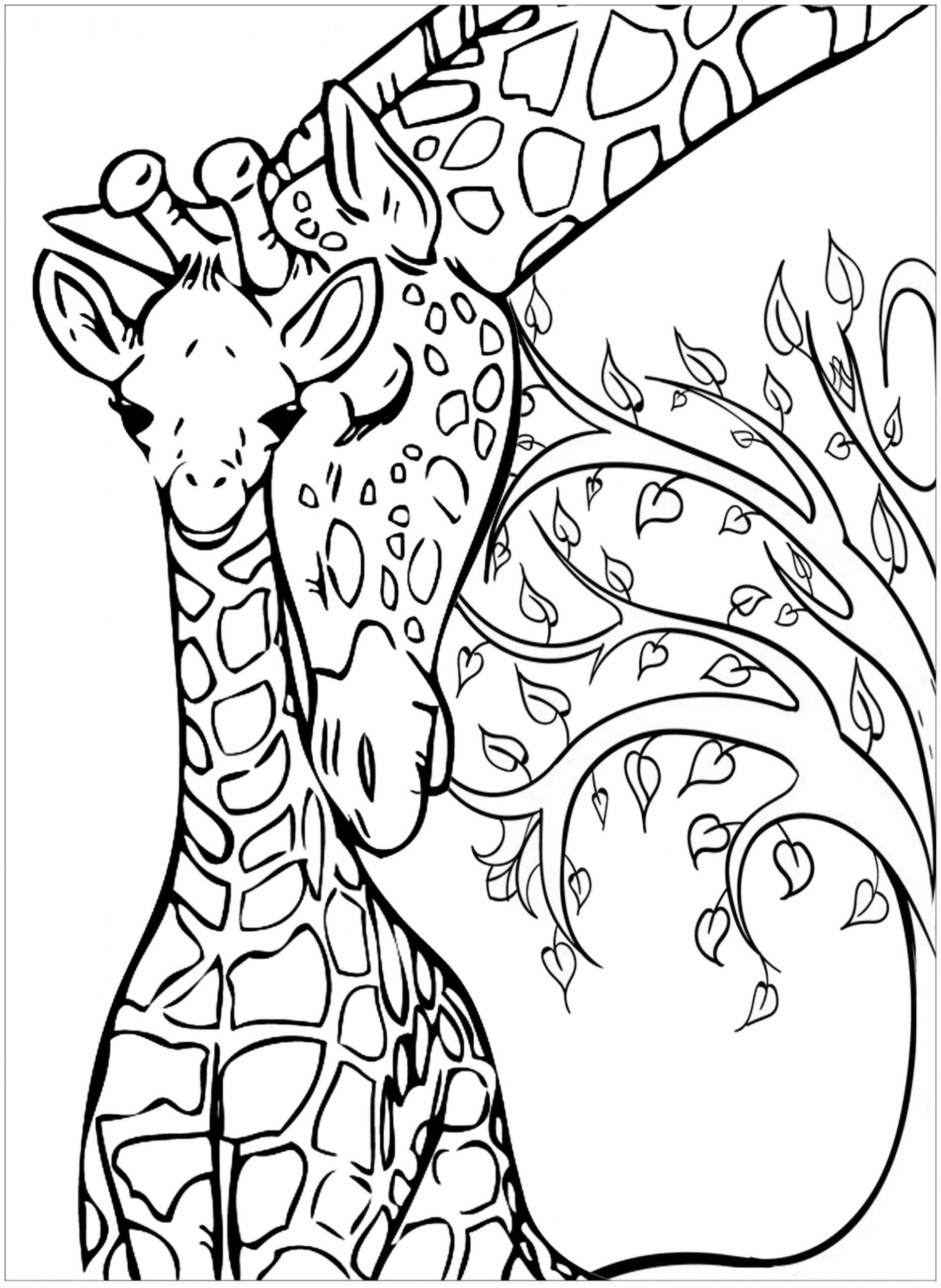 100+ Giraffe Coloring Pages 5