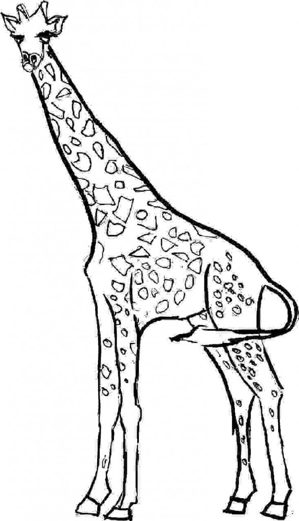 100+ Giraffe Coloring Pages 54