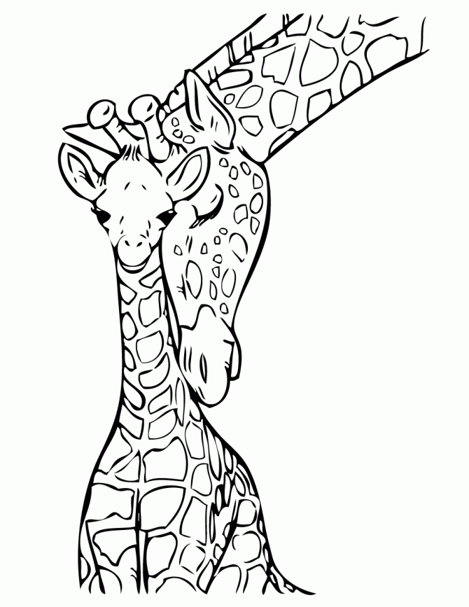 100+ Giraffe Coloring Pages 55