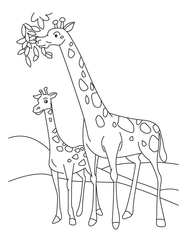 100+ Giraffe Coloring Pages 59